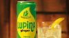 Lupina Ginger, Ingwer, Honig, Zitrone, Dose, Glas, Limette, Eis, Drink